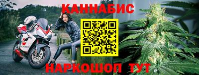 СК Шебекино