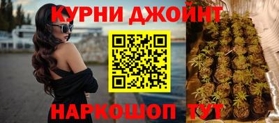 СК Шебекино