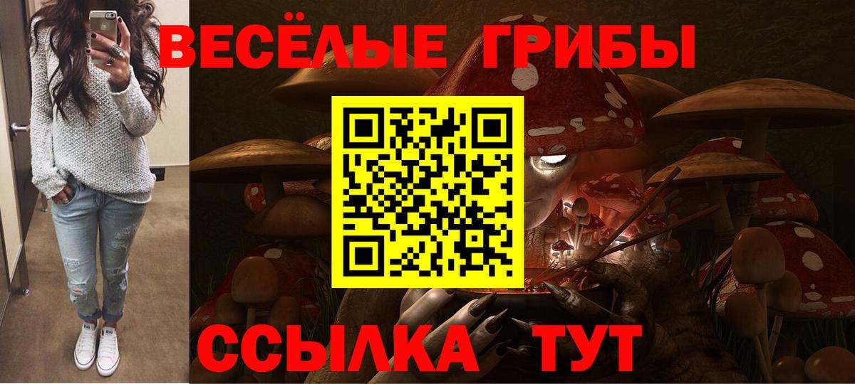 Краснокаменск  Галлюциногенные грибы ЛСД  Вход с VPN 